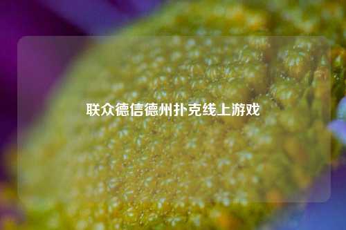 联众德信德州扑克线上游戏