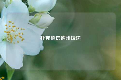 扑克德信德州玩法