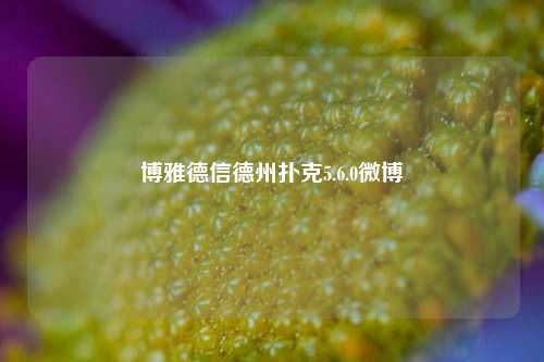 博雅德信德州扑克5.6.0微博