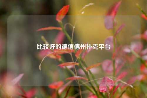 比较好的德信德州扑克平台