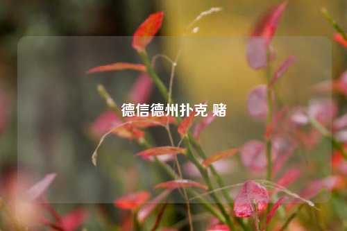 德信德州扑克 赌