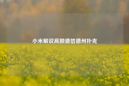 小米解说高额德信德州扑克