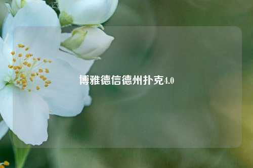 博雅德信德州扑克4.0