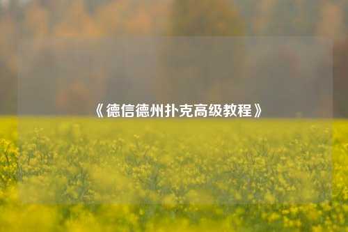 《德信德州扑克高级教程》