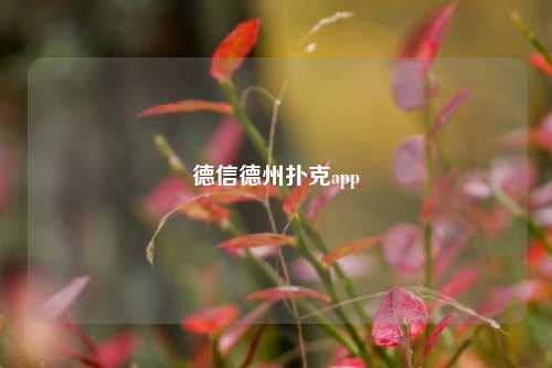 德信德州扑克app