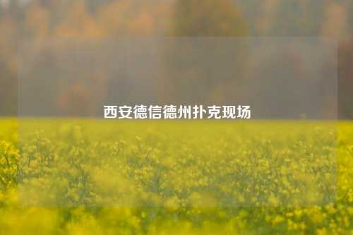 西安德信德州扑克现场