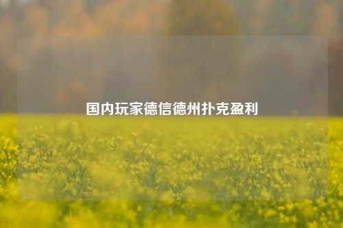 国内玩家德信德州扑克盈利