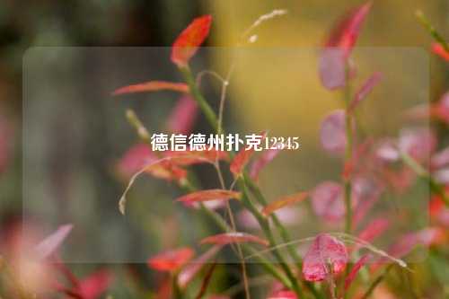 德信德州扑克12345