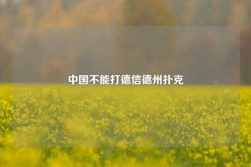 中国不能打德信德州扑克