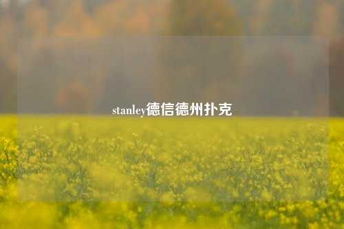 stanley德信德州扑克