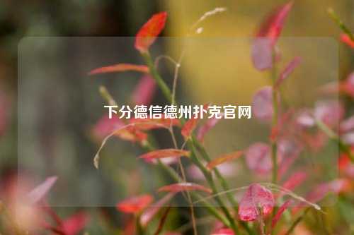 下分德信德州扑克官网